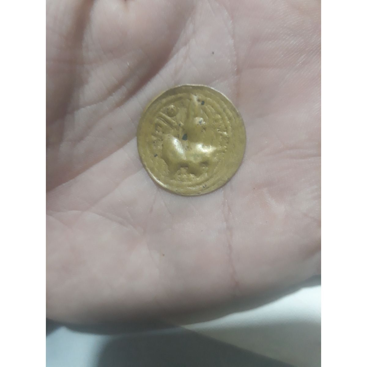 سکه مسی تصویر مرد سوار بر شیر