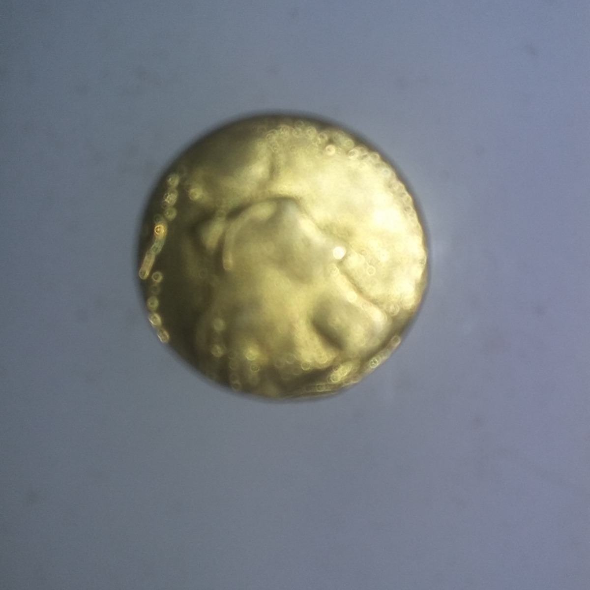 سکه زیرخاکی