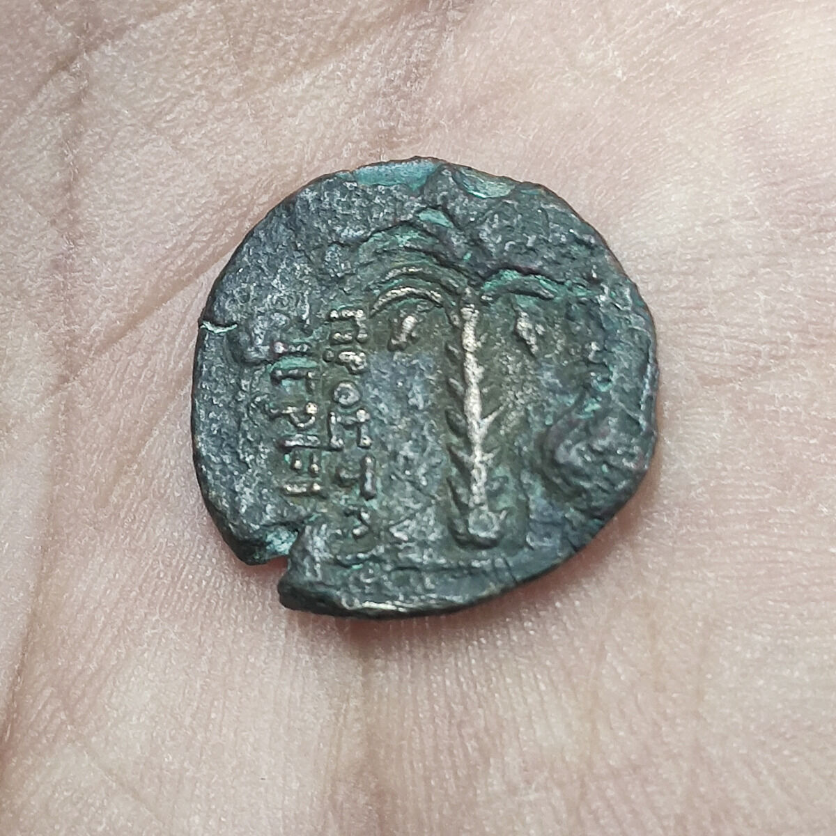 کارشناسی سکه چکشی خارجی