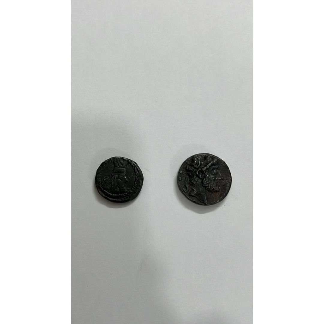 اصل یا فیک بودن سکه ها؟