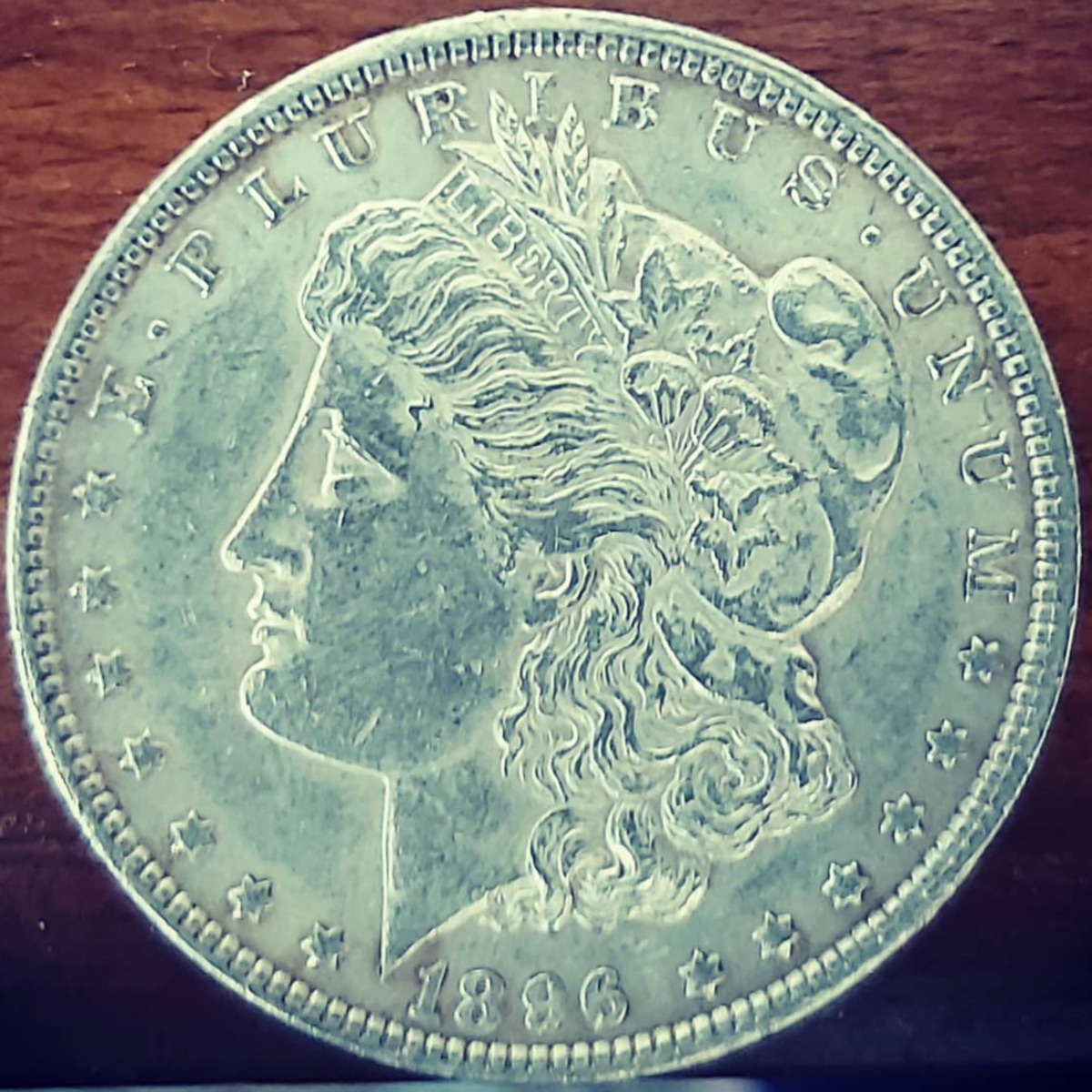 اصالت سکه 1 دلاری