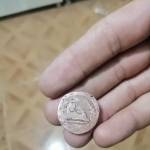 کارشناسی سکه فلوس
