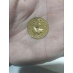 سکه مسی تصویر مرد سوار بر شیر