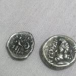 تشخیص شاه سکه
