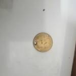 ارزش سکه 5 دیناری