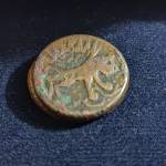 درخواست بررسی اصالت سکه فلوس