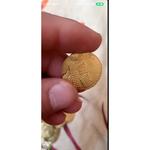اصل یا فیک بودن سکه
