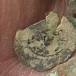 اصالت و دوره چند سکه