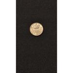سکه 10 گروشن 1970 اتریش