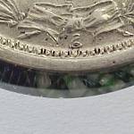 علامت درسکهای شاهی