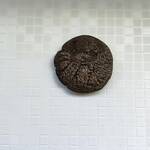 اصالت سکه پشیز اردشیر بابکان 