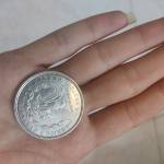 سکه یادبود ایالات متحده 